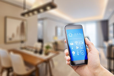 person holding phone
